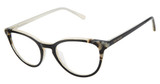 Ted Baker TW013 black ivory/BLK