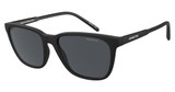 Arnette AN4291 CORTEX MATTE BLACK/275887