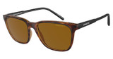 Arnette AN4291 CORTEX DARK AVANA/277083