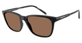 Arnette AN4291 CORTEX BLACK/290073