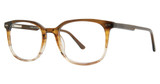 Vivid Eyeglasses VIVID 938 brown gradient
