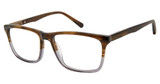 VAN HEUSEN Eyeglasses H199 Brown/BRN