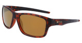SPYDER Eyeglasses SP6022 TORTOISE/215
