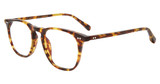 DIFF Eyeglasses MAXWELL w/ blue light lens Amber Tortoise