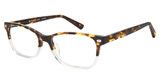 Camelot Eyeglasses Brooks Tortoise/TOR