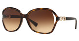 COACH Eyeglasses HC8145 L948 DARK TORTOISE/512013