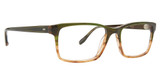 Badgley Mischka Eyeglasses Stammond Olive/OLVE