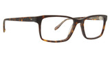 Badgley Mischka Eyeglasses Stammond Tortoise/TORT