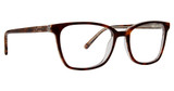 XOXO Eyeglasses Portland Tortoise/TOR