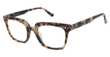 Denon Eyewear Eyeglasses QUINN 81/81