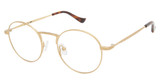 Denon Eyewear Eyeglasses BRADLEY Semi-matte Gold