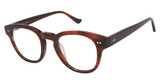 Denon Eyewear Eyeglasses CLAYTON 14/14