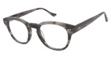 Denon Eyewear Eyeglasses CLAYTON 17/17