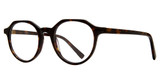 Eye Q Eyewear Eyeglasses PICCADILLY Tortoise