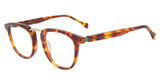 Lucky Brand Eyeglasses VLBD424 Havana
