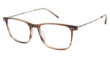 TLG Eyeglasses NU061 BRN HRN GUN/C02