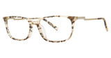 Vera Wang Eyeglasses VA59 Gold Tortoise/GT