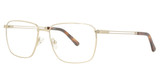 HeadLines Eyeglasses HL-1526 Shiny Gold/C1