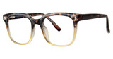 Modern Plastics II Eyeglasses LEGENDARY tortoise/champagne
