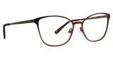 XOXO Eyeglasses Millani Brown/BRN