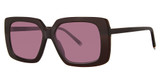 Paradigm Eyeglasses Ross Aperitif/AP