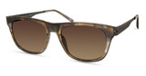 Modo Eyeglasses 474 Grey Green Tort/GGNT