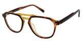 Ted Baker Eyeglasses TM012 tortoise olive/TOR