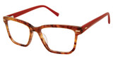 Ted Baker Eyeglasses TW015 tortoise burgundy/TOR
