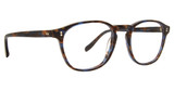 Badgley Mischka Eyeglasses Matteo Brown/Cobalt/BRC