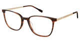Sperry Eyeglasses COVE TORTOISE/GOLD/C02