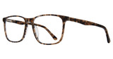 Eye Q Eyewear Eyeglasses GTN810 Tortoise/TORTOISE