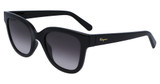 Ferragamo Eyeglasses SF1066S BLACK/001