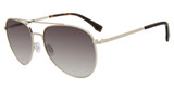 GAP SGP005 Gold