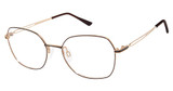 Titanium CH 29224 Brown/BR