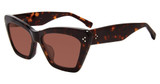 GAP Eyeglasses SGP011 Havana