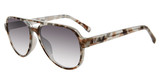 GAP Eyeglasses SGP204 Grey