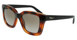Ferragamo Eyeglasses SF955S TORTOISE/214