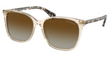 Ralph Eyeglasses RA5293 VVCV SHINY TRANSPARENT BROWN/6072T5
