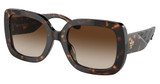 Tory Burch TY7179U DARK TORTOISE/172813
