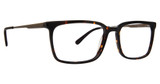 Argyleculture Eyeglasses Simonsen Tortoise/TOR