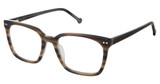 OTP Eyeglasses OTP-154 GREY HORN/S402