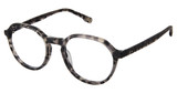 Evatik Eyeglasses EVATIK 9247 MATTE GREY TORT/M403