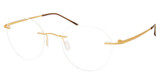 Modo Eyeglasses 4633 GOLD/GOLD