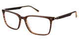 Champion Eyeglasses SURGEX100 BROWN HORN/C02