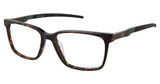 Champion STAND TORTOISE/C02