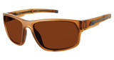 Champion Eyeglasses STRIDE TRANS WALNUT/C03
