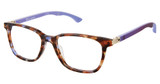 Champion Eyeglasses CHEER PURPLE TORT/C01