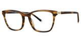Paradigm Eyeglasses Morrison Tortoise/TO