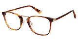 Glen Lane DRAYTON TORTOISE/TOR