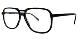 Clear Eye View Eyeglasses CEV 110Z TORTOISE/024